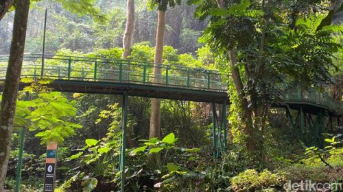 Hutan Kota Babakan Sliwangi, Kawasan Tenang nan Hijau di Tengah Kota Bandung