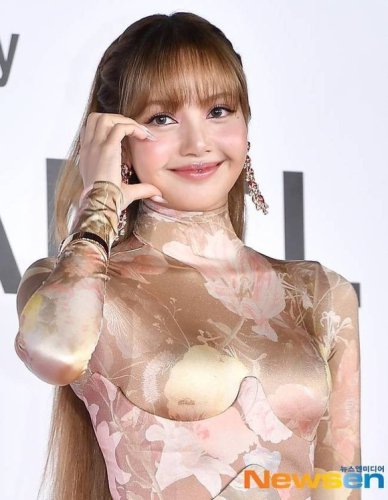 BLACKPINK リサ、マ・ドンソク出演のNetflix映画「タイラー・レイク」スピンオフ作品に出演か&hellip;報道に注目