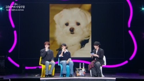 SEVENTEEN スングァン、愛犬プクを自慢！「おかげで仕事も増えた」（動画あり）
