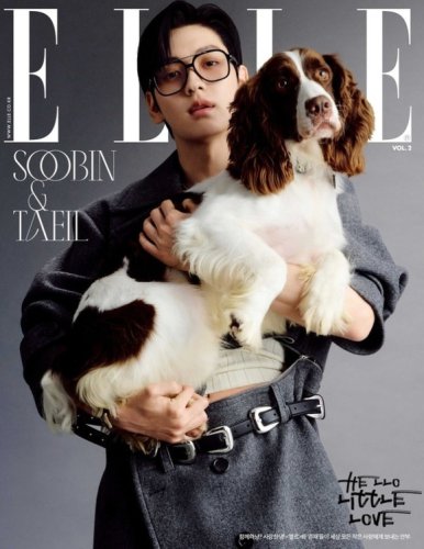 TXT スビン、引退した検疫探知犬とグラビアを撮影「責任を持てる家族に出会ってほしい」