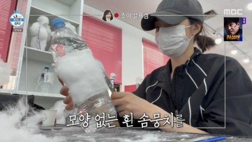 Red Velvet ジョイ、トリマーの資格取得を目指し学校へ&hellip;その理由とは（動画あり）