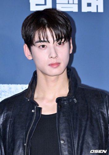 ASTRO チャウヌ、疑惑と関連し大手法律事務所を選任？報道にコメント