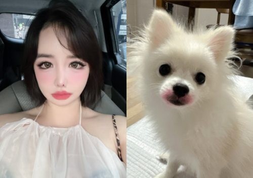2NE1のBOM、愛犬にリップを塗った写真を投稿&hellip;動物虐待の議論うけ削除