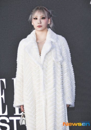2NE1のCLにも疑惑&hellip;個人事務所が未登録で運営か「迅速に手続きを進行中」