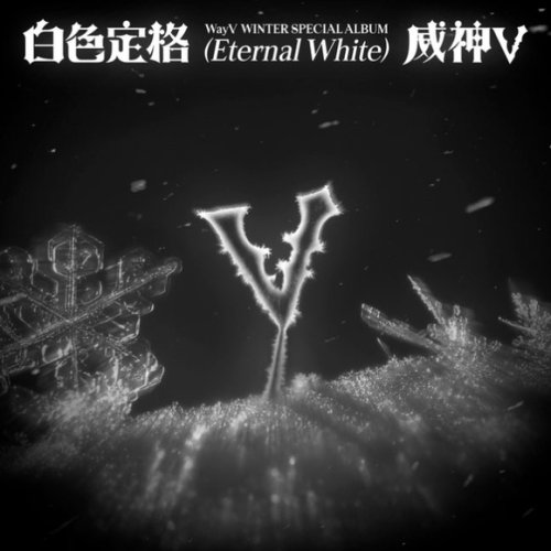 WayV、12月8日に冬のスペシャルアルバム「白色定格」を発売！