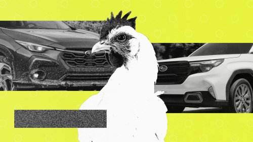 Fakta Menarik: Tiga Persen Pemilik Subaru Mengangkut Ayam