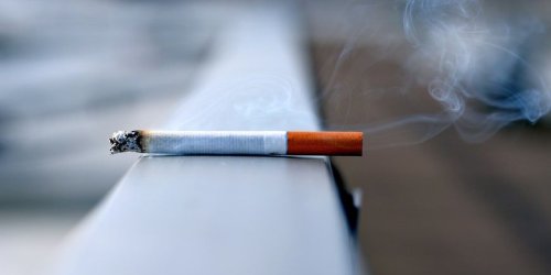 Biasakan Buka Jendela Saat Merokok agar Asap Tidak Terjebak di Kabin, Bersihkan Sistem Sirkulasi Udara agar Bau Tidak Terperangkap, Gunakan Pewangi Berbahan Enzim untuk Netralisir Aroma Rokok, Buang Sampah Secara Rutin agar Bau Tidak Mengendap di Interior, Gunakan Bahan Alami yang Ampuh Serap Bau Rokok, Bubuk Vanilla: Solusi Aromatik untuk Kabin Mobil, Baking Soda untuk Menyerap Bau Rokok Secara Menyeluruh, Gunakan Bubuk Kopi untuk Hilangkan Bau Secara Alami, Perpaduan Bubuk Kayu Manis dan Cuka Apel untuk Efek Ganda, Gunakan Pewangi Mobil untuk Efek Segar dan Tahan Lama, Cara Ampuh Hilangkan Bau Rokok di Mobil Secara Efektif