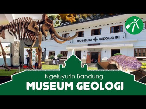 Spot Populer di Museum Geologi, Fasilitas di Museum Geologi, Harga Tiket Masuk dan Jam Operasional Museum Geologi, Alamat dan Akses Transportasi ke Museum Geologi, Hotel Sekitar Museum Geologi, Mengenal Sejarah Kehidupan di Museum Geologi Bandung
