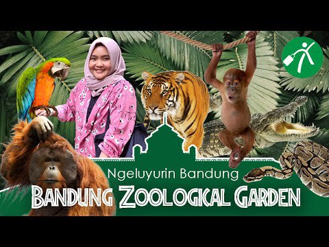 Wahana dan Spot Populer di Kebun Binatang Bandung, Koleksi Satwa, Harga Tiket dan Jam Operasional, Fasilitas di Kebun Binatang Bandung, Alamat dan Akses Transportasi, Hotel dan Penginapan Sekitar Kebun Binatang Bandung, Kebun Binatang Bandung, Tempat Wisata Keluarga yang Seru!