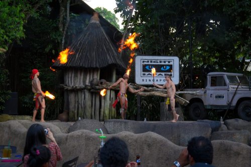 Night Safari Singapore &ndash; Nocturnal Wildlife Park