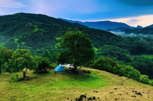 Wisata Bukit Maddo: Lokasi, Jam Buka, dan Spot Foto
