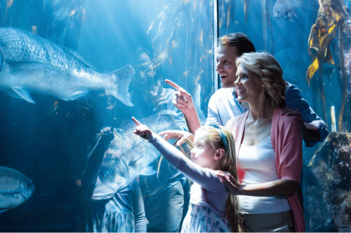 Marine Safari Bali, Wisata Aquarium di Bali yang Lagi Populer