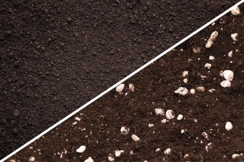 Garden Soil vs. Potting Soil: What&rsquo;s the Difference?