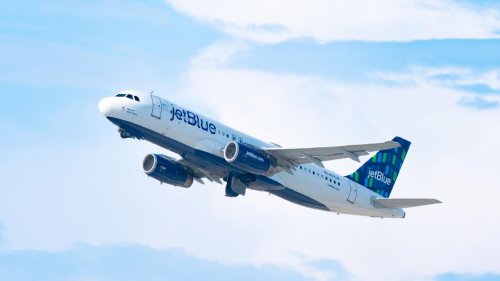 JetBlue flight turns back after striking a coyote on the runway: 'We thought it was a joke'