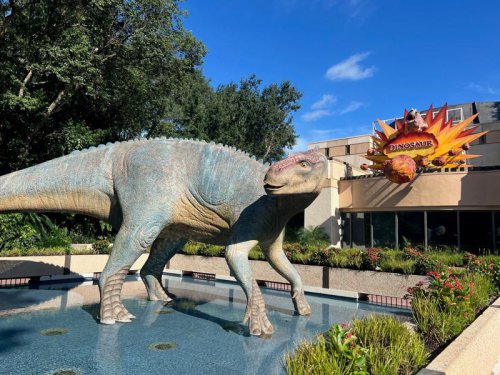 Disney World just revealed opening dates for everything new in 2026