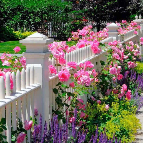 Top 10+ Front Yard Flower Bed Ideas to Make Your Space Bloom