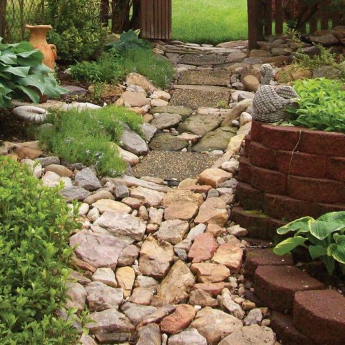 Top 6+ Common Lawn Problems and Expert Solutions