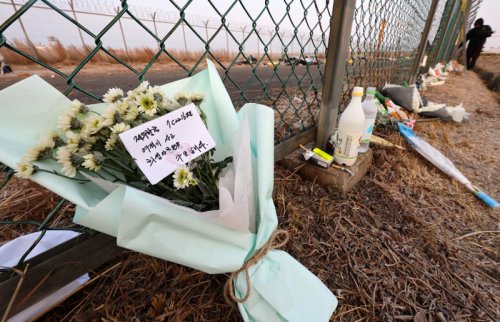 Pilot error reportedly behind South Korea&rsquo;s deadly Jeju Air crash as victims&rsquo; families protest findings