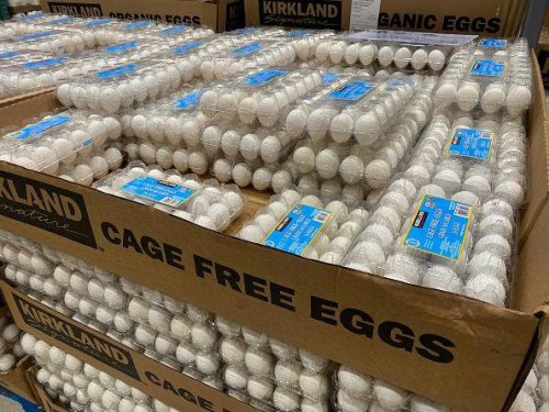 Eggs ,  Kirkland Signature 680 Thread Count Sheet Set, Almond Croissant Pastries, Kirkland Signature Flex-Tech 13-Gallon Kitchen Trash Bag, 200-count, Greenmade 27 Gallon Storage Bin, 4-pack, Kirkland Basil Pesto, Kirkland Signature Paper Towels, 2-Ply, 160 Sheets, 12 Individually Wrapped Rolls, Kirkland Signature, Organic Extra Virgin Olive Oil, 2 L, Kirkland Signature Chicken Breast Fillet, Top 9+ underrated Costco items to add to your shopping list now