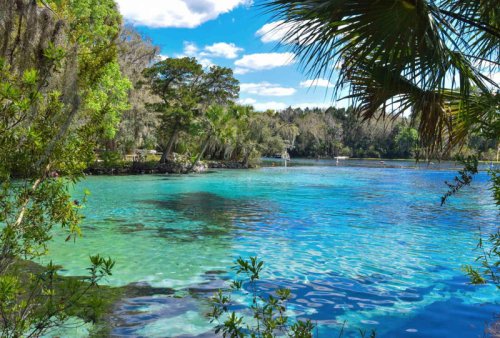 Adventure and beauty await in this undiscovered Florida town you haven't heard of