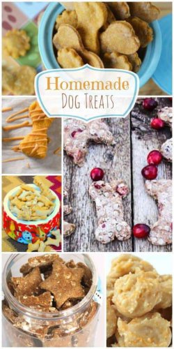 Top 11+ Homemade Dog Treats Recipes