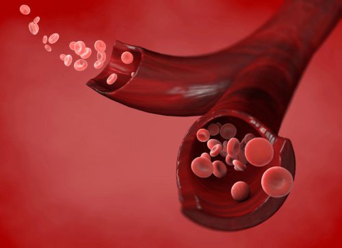 Your Blood Type Can Mean You're More Prone to Heart Disease. Here's What to Know