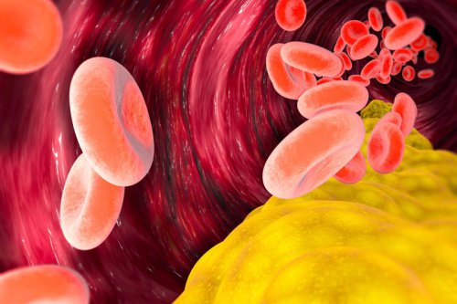 Experts reveal the truth about cholesterol &ndash; and how it impacts your health