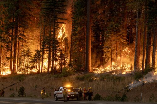 Infernos sweep Sardinia and Greek islands amid heatwave