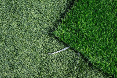 4 Tragically Outdated Landscaping Styles Experts Are Totally Over
