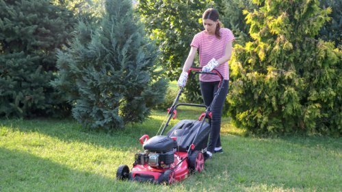 Top 5+ common lawn care mistakes that are killing your yard