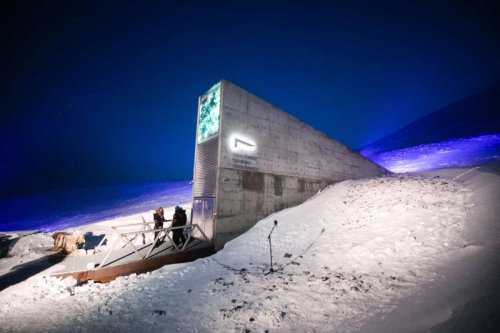 How an Arctic vault may save humanity