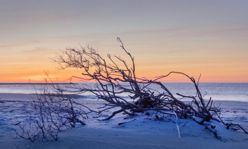 APP photographer captures beauty of Monmouth, Ocean counties in 'Just Go Outside' series