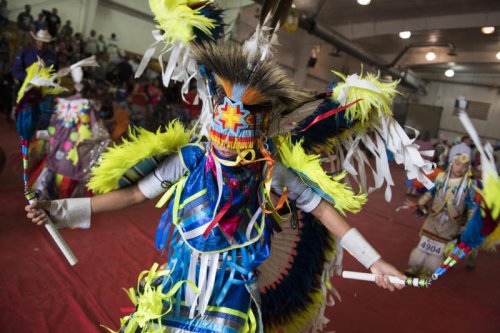 The biggest Native American tribes in the US today