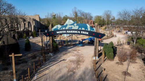 Columbus Zoo to open North America Trek, Conservation Tower on June 20
