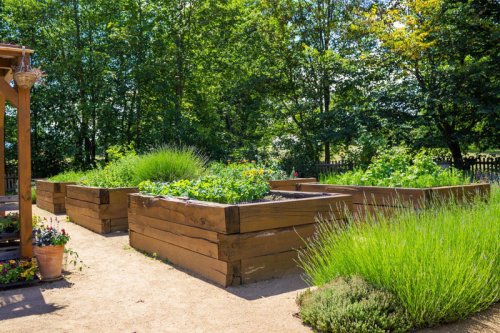 Grow Your Garden ANYWHERE This Summer With These Raised Bed Ideas