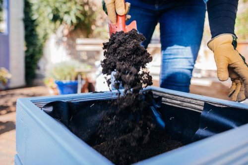 Top 7+ Reasons Your Raised Bed Vegetables Are Struggling