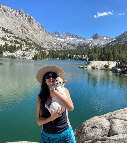 Pet care 101: Top summer hiking tips for hiking with pets in California