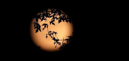 Photos of strawberry moon: See the stargazing spectacle