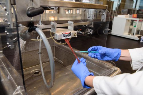 Our Lab Spent 400 Hours Testing Drugstore Hair Dyes to Find the Best