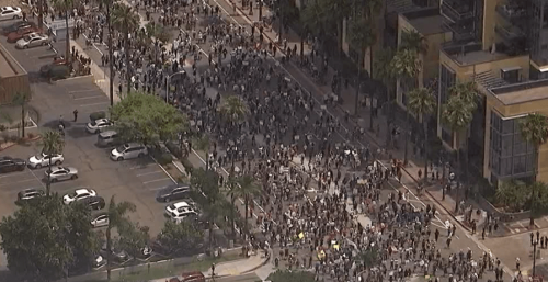 PHOTOS: Thousands rally in San Diego for nationwide &lsquo;No Kings&rsquo; protest