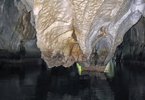 Creatures of the Deep: What Lives in the Lightless Depths of Veryovkina Cave?
