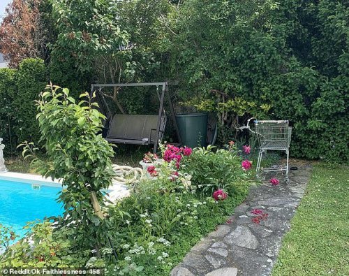 Simple garden photo has a white cat hidden in plain sight - can you spot it in 30 seconds?