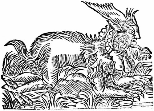 Europe's werewolf trials: a dark historical chapter
