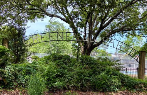 Greenfield gems: A few things to look for when you take a walk around Greenfield Lake