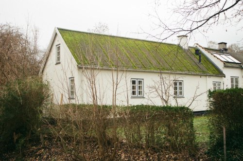 Top 10+ Roof Changes That Break the Rules (But Still Get Done)
