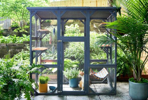 Top 7+ Must-Have Catio Upgrades Your Feline Friend Will Thank You For