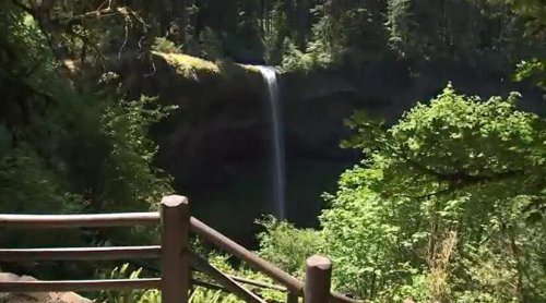 Silver Falls State Park reopens campgrounds with increased accessibility