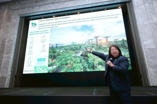 Thailand Green Plan 2030 ปักหมุดท่องเที่ยวยั่งยืน ดันไทยสู่มาตรฐานโลก