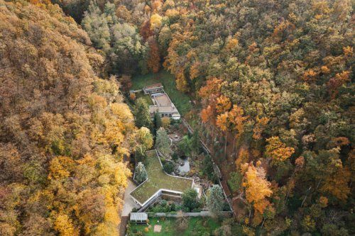 Expanses of Glass Immerse This Y-Shaped Home in Its Wooded Setting