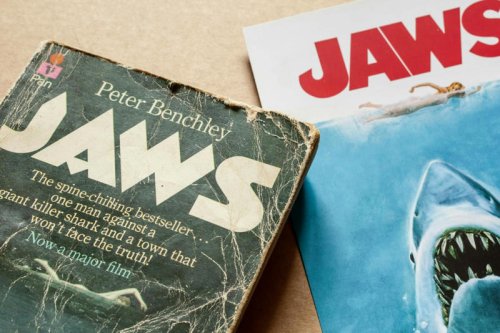 Jaws at 50: how a single movie changed our perception of white sharks forever